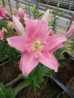 [4545 VH21 No02.JPG]